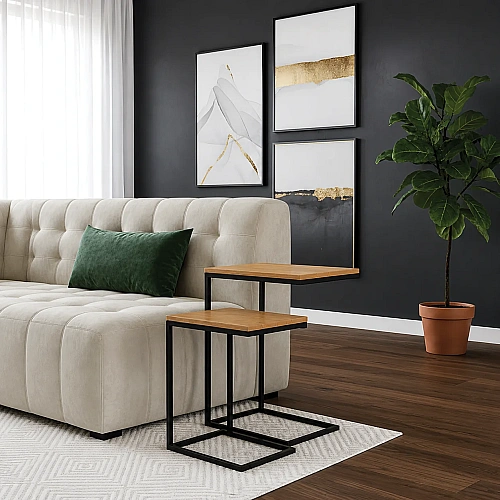 Laptop Table Set Of 2 Mango Colour 