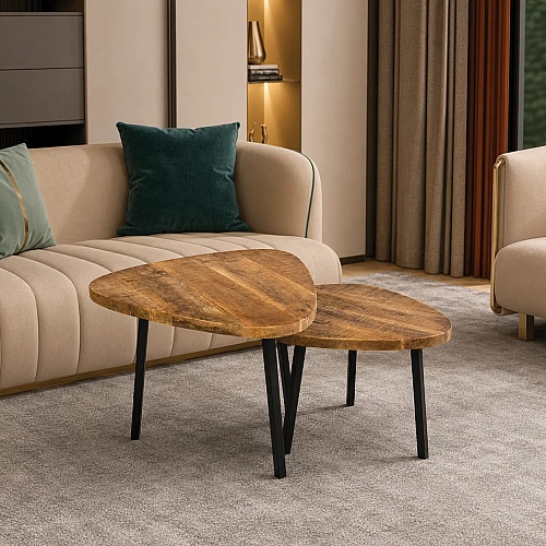 Set Of 2 Coffee Table (2)